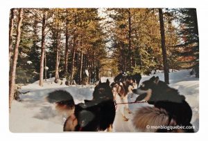5 allers simples pour Montréal Voyage découverte Balade en traîneau à chiens 5 allers simples pour Montréal Voyage découverte monblogquebec