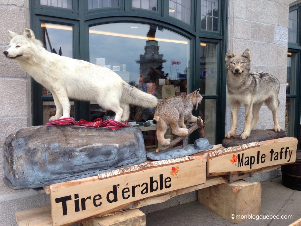 Nos coups de coeur Activités insolites à Québec monblogquebec