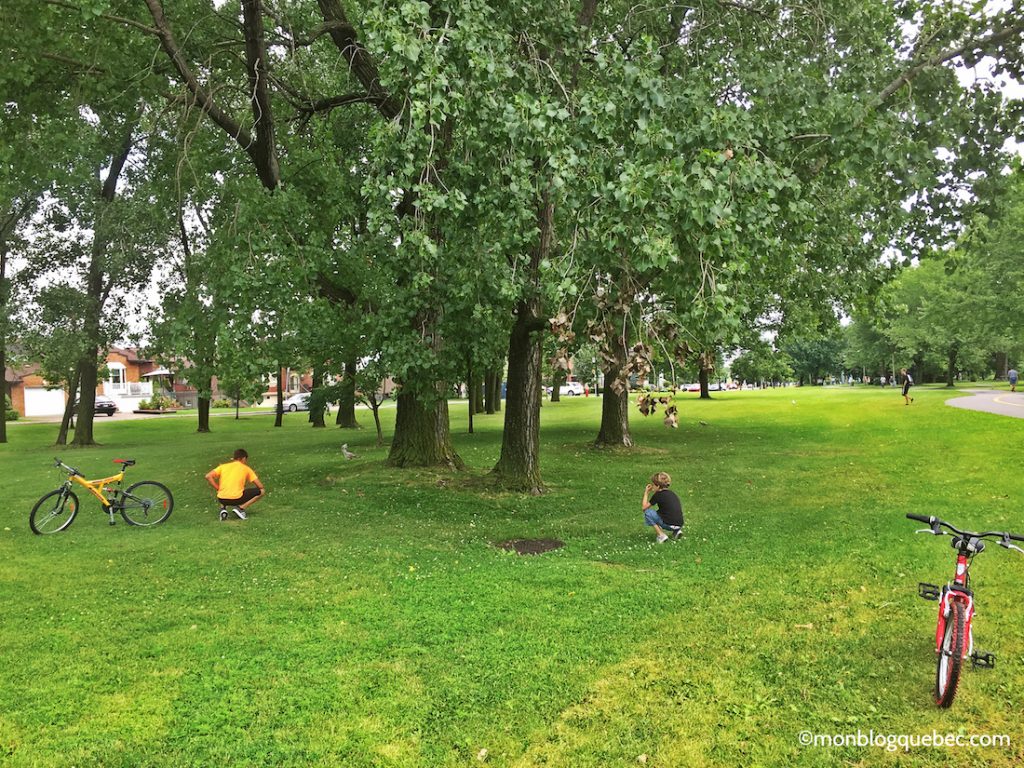 Nos bons plans Quoi faire le dimanche à Montréal monblogquebec