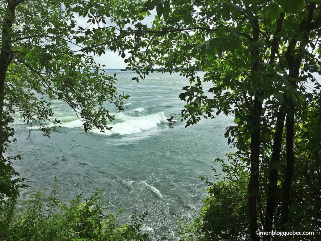 Nos bons plans Quoi faire le dimanche à Montréal monblogquebec