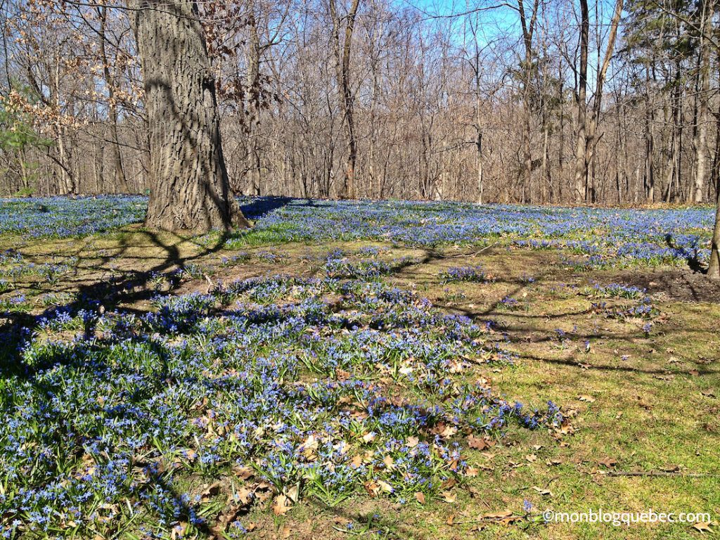 Découvrir Road Book à Ottawa monblogquebec