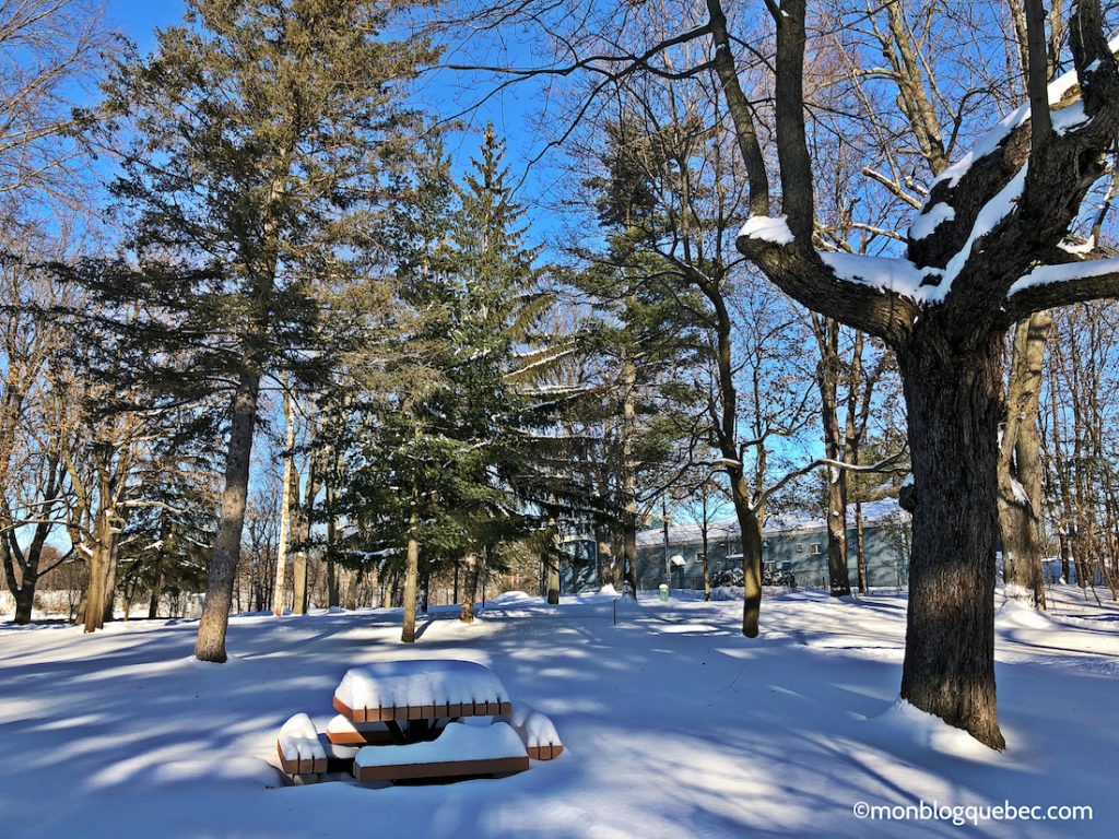 Nos bons plans Affronter l'hiver au Québec monblogquebec