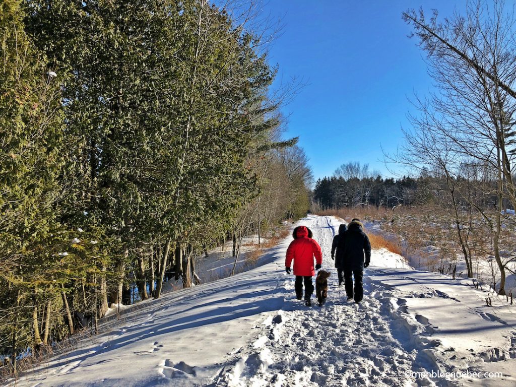 Nos bons plans Activités incontournables à Montréal en hiver Nos bons plans Activités incontournables à Montréal en hiver monblogquebec