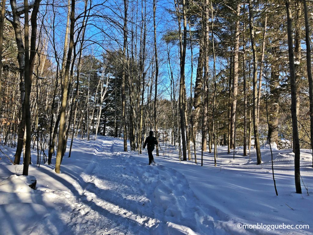 Nos bons plans Activités incontournables à Montréal en hiver balade en raquettes Nos bons plans Activités incontournables à Montréal en hiver monblogquebec