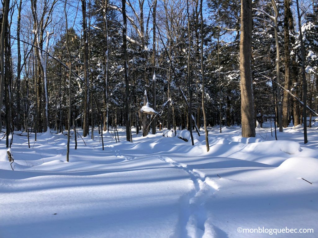 Nos bons plans Activités incontournables à Montréal en hiver ski de fond Nos bons plans Activités incontournables à Montréal en hiver monblogquebec