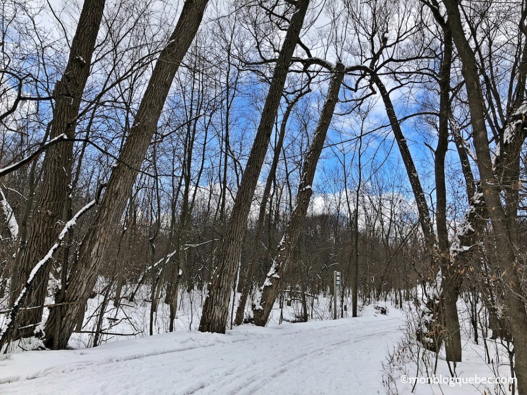 Nos bons plans Activités incontournables à Montréal en hiver Parc du Bois-de-Liesse Nos bons plans Activités incontournables à Montréal en hiver monblogquebec