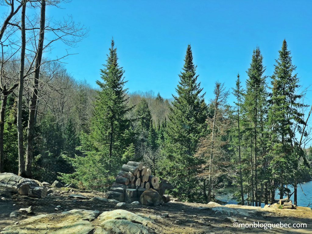 Nos bons plans Parc Omega monblogquebec