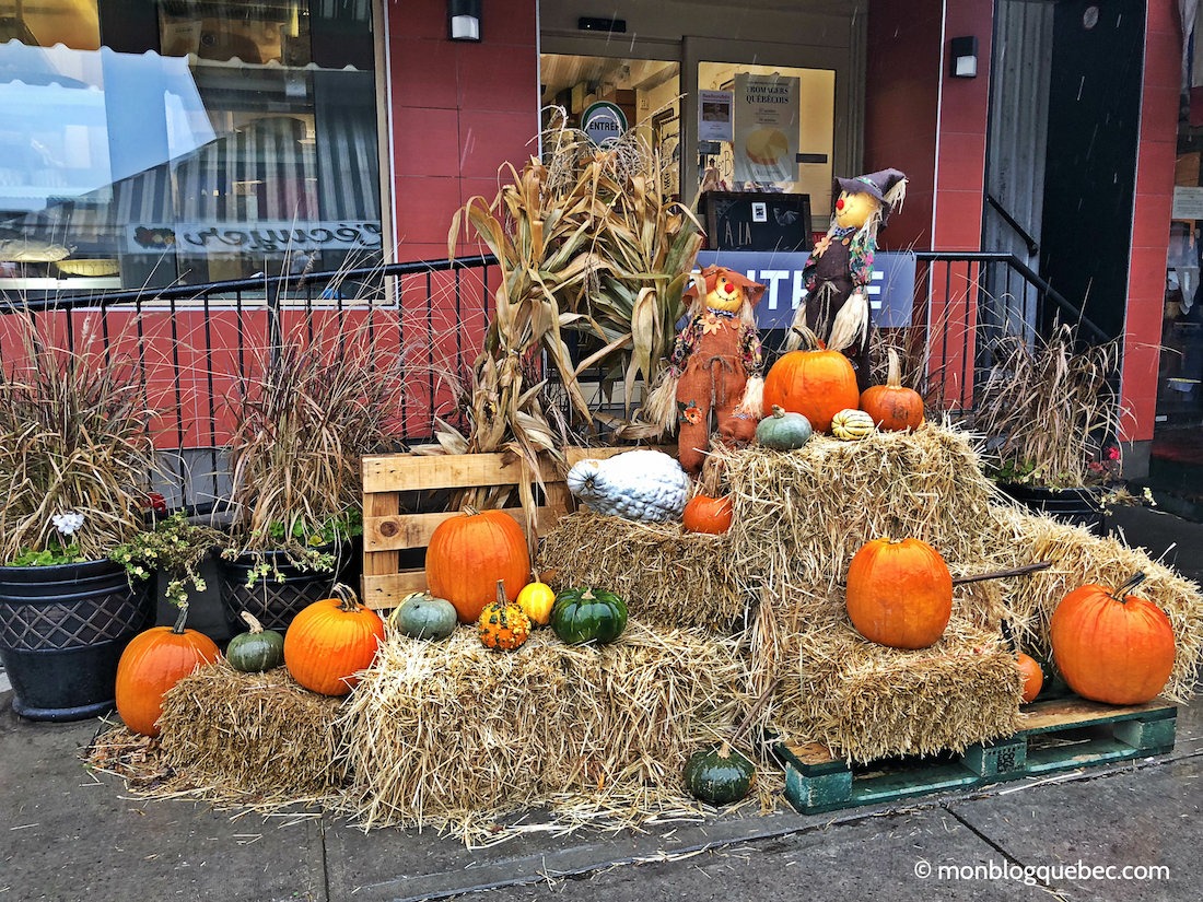 Vivre au Québec l'automne à Montréal Décoration citrouilles Vivre au Québec l'automne à Montréal monblogquebec