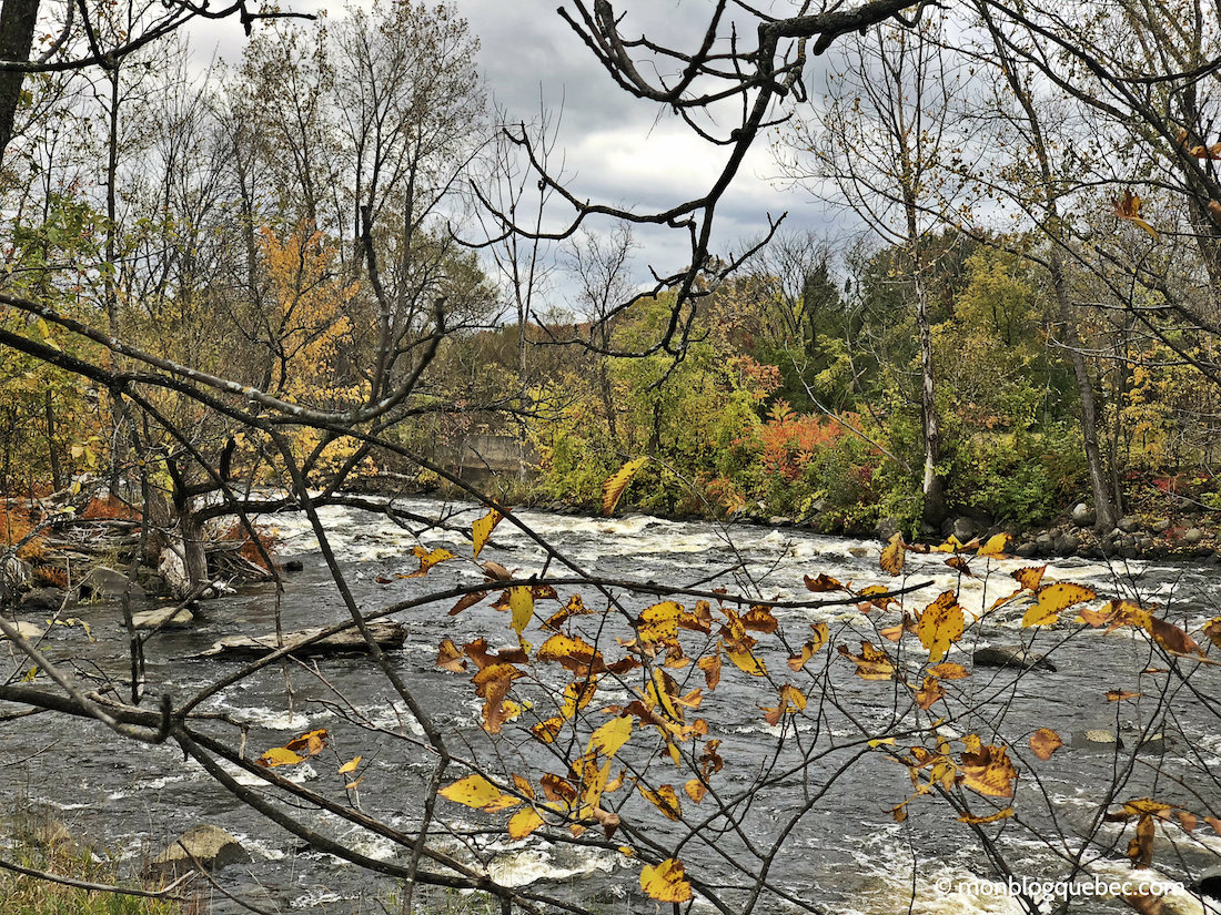 Vivre au Québec l'automne à Montréal monblogquebec
