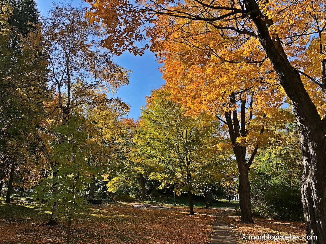 Vivre au Québec l'automne à Montréal Parc Joyce Vivre au Québec l'automne à Montréal monblogquebec
