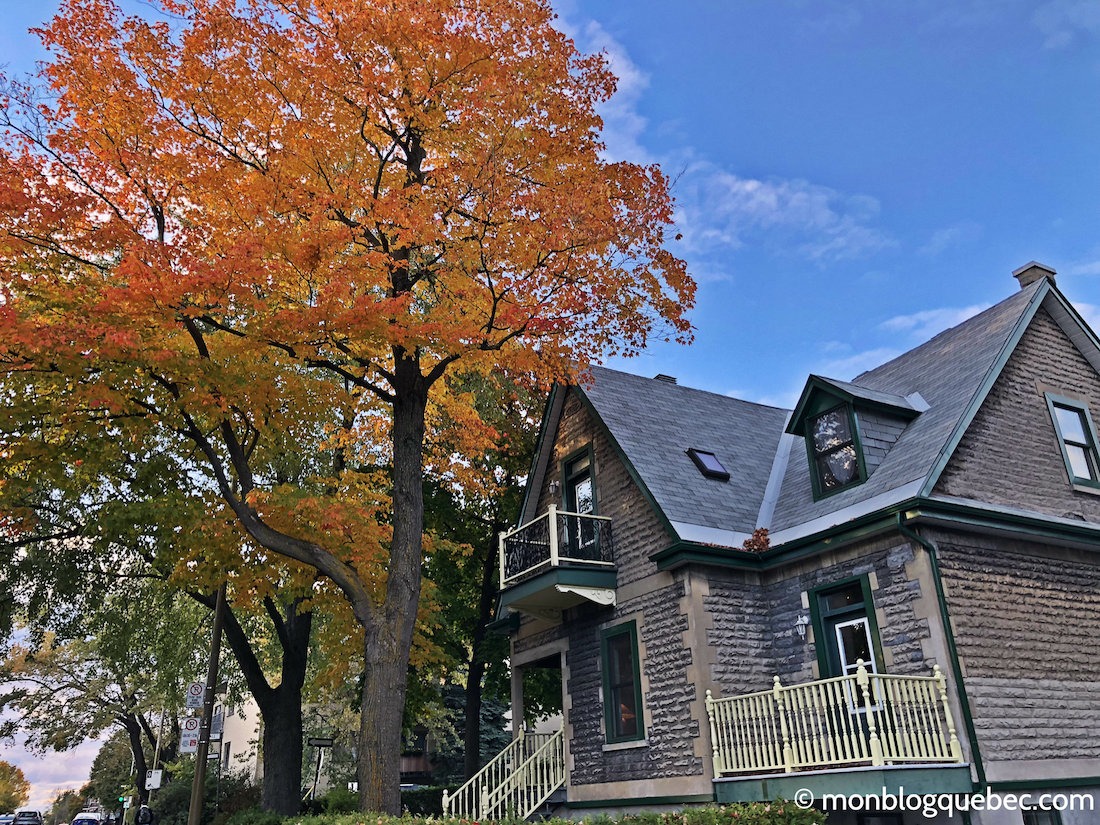 Vivre au Québec L'automne à Montréal Vivre au Québec L'automne à Montréal monblogquebec