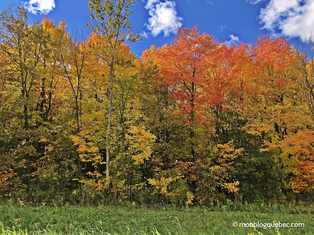 Vivre au Québec L'automne à Montréal Vivre au Québec L'automne à Montréal monblogquebec