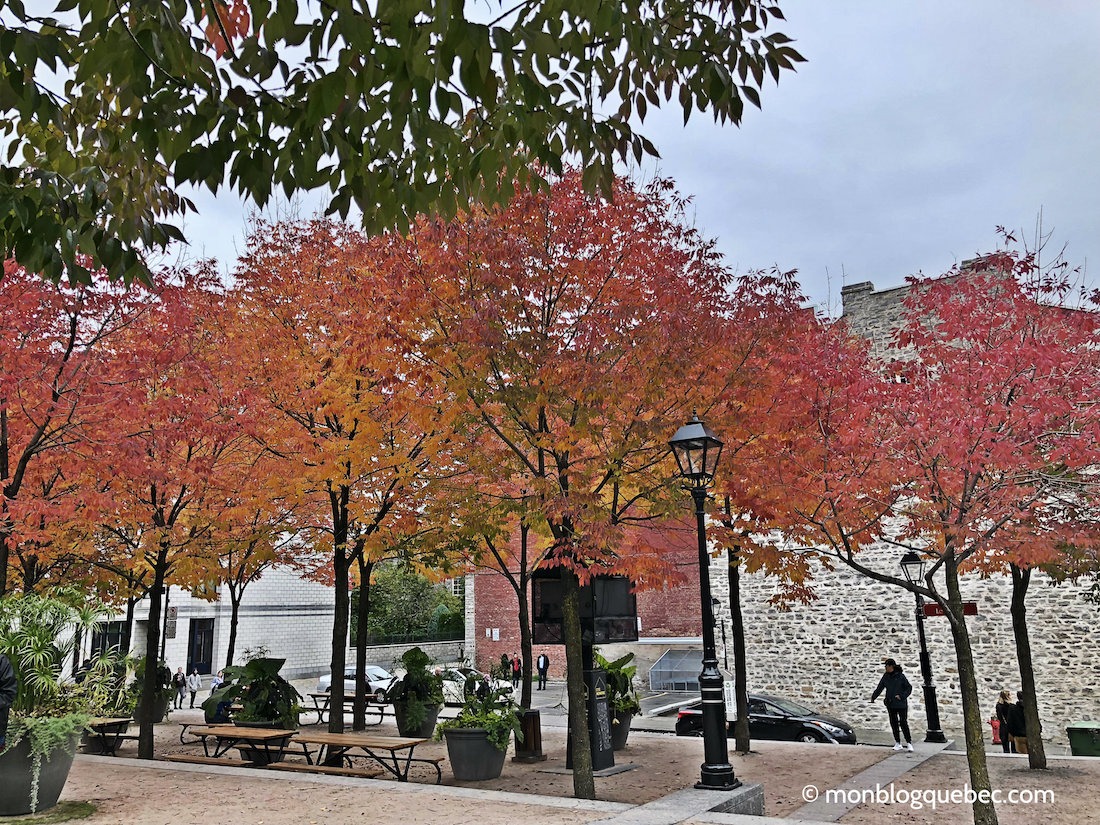 Vivre au Québec l'automne à Montréal Place Jacques Cartier Vivre au Québec l'automne à Montréal monblogquebec