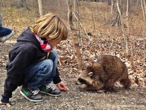 Nos coups de coeur Nos sites préférés au Québec