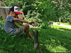 Nos coups de coeur Nos sites préférés au Québec