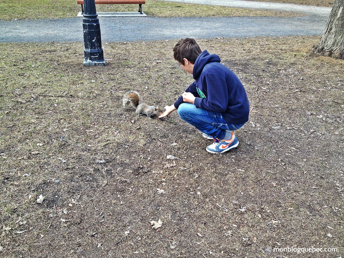 Nos bons plans 5 raisons d'échanger sa maison monblogquebec