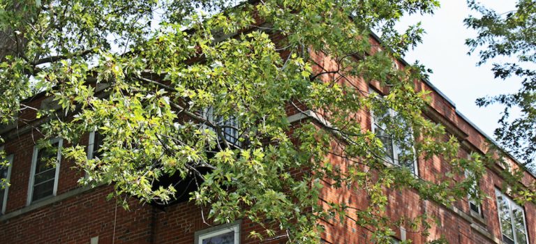 Immigrer Trouver un logement à Montreal monblogquebec