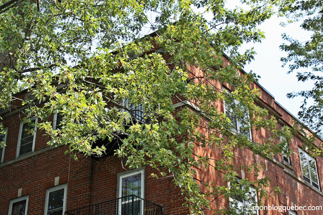 Trouver un logement à Montréal Mon blog Québec