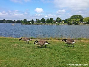 Nos bons plans Quoi faire le dimanche a Montréal monblogquebec