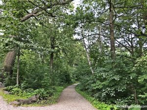 Nos bons plans Quoi faire le dimanche à Montréal monblogquebec