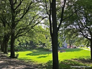 Nos bons plans Quoi faire le dimanche à Montréal monblogquebec