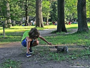 Nos bons plans Quoi faire le dimanche à Montréal monblogquebec