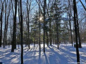 Nos bons plans Activités incontournables au Québec en hiver monblogquebec