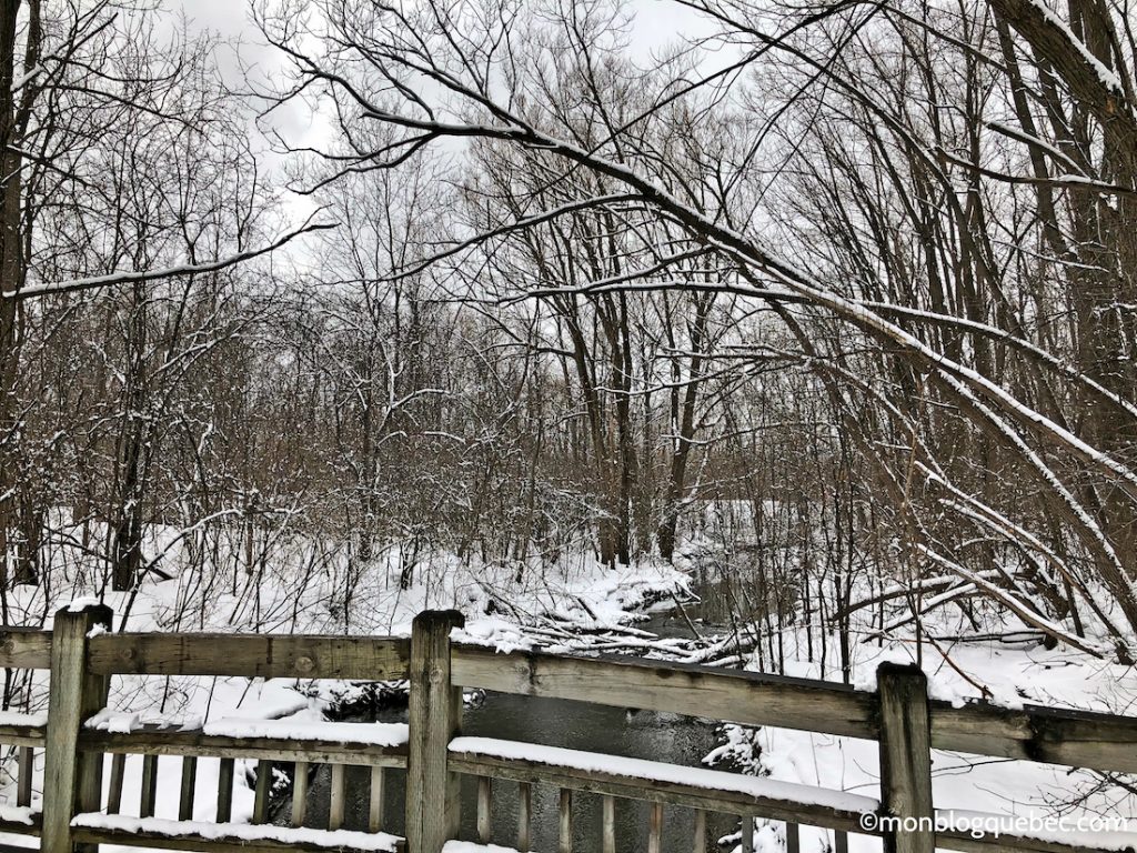 Nos bons plans Activités incontournables à Montréal en hiver monblogquebec
