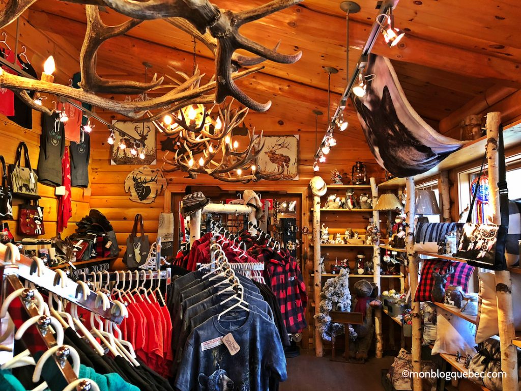 Nos bons plans Parc Omega monblogquebec