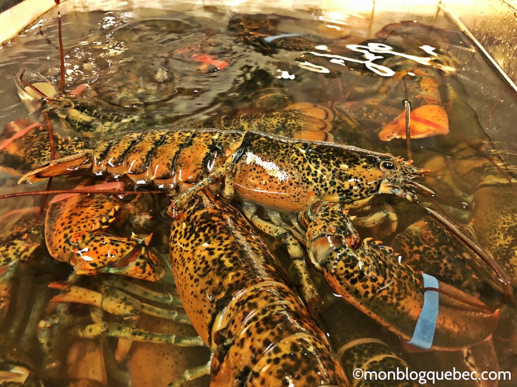 Nos bons plans Printemps à Montréal monblogquebec