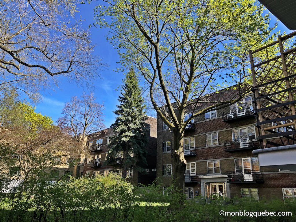 Nos bons plans Printemps à Montréal monblogquebec