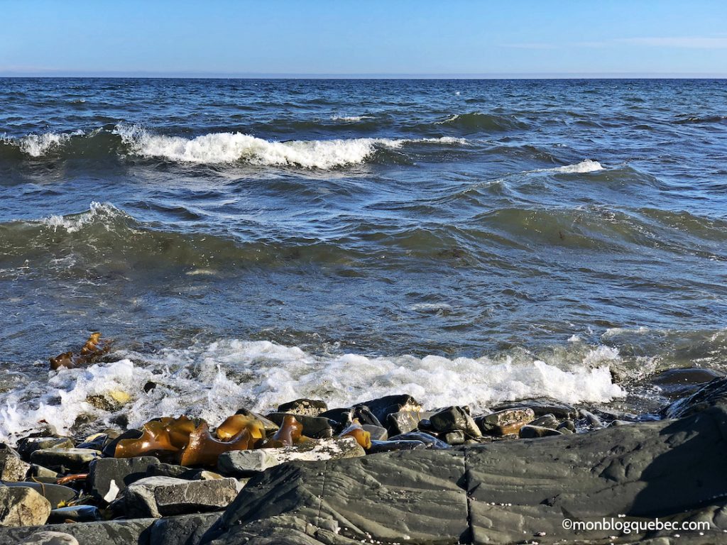 Découvrir Voyage en Gaspésie monblogquebec
