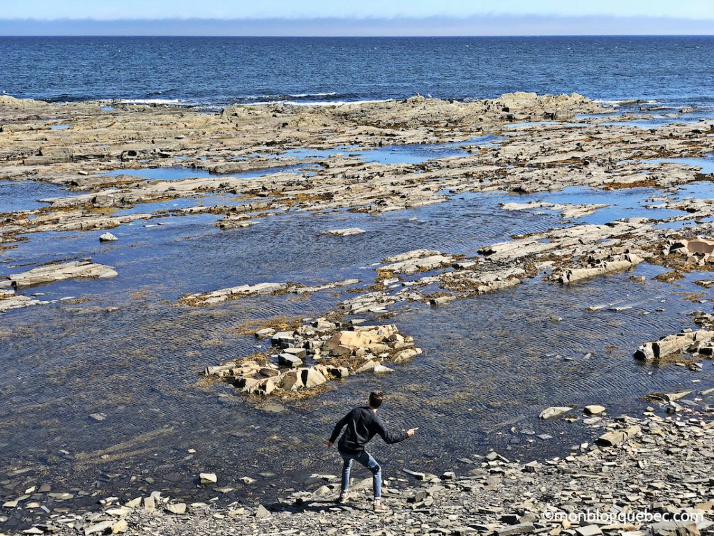 Découvrir Voyage en Gaspésie monblogquebec