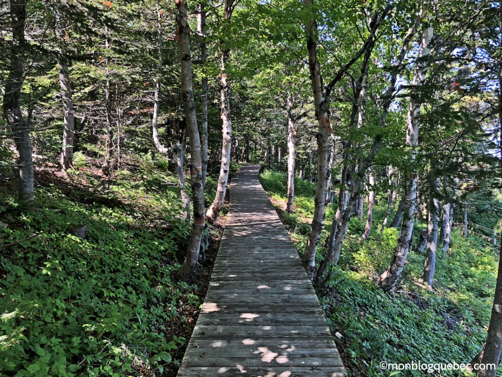 Découvrir Voyage en Gaspésie monblogquebec