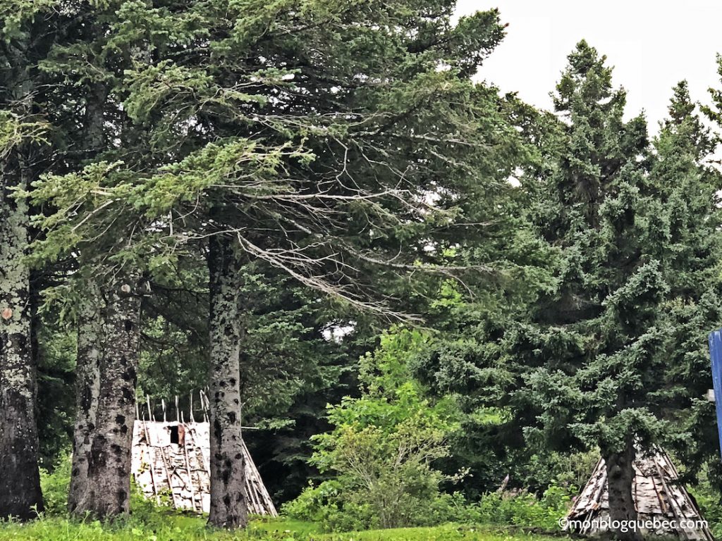 Découvrir Voyage en Gaspésie monblogquebec