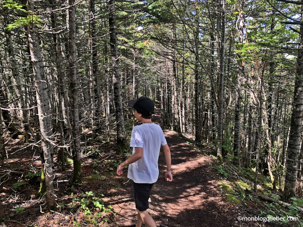 Découvrir Voyage en Gaspésie monblogquebec