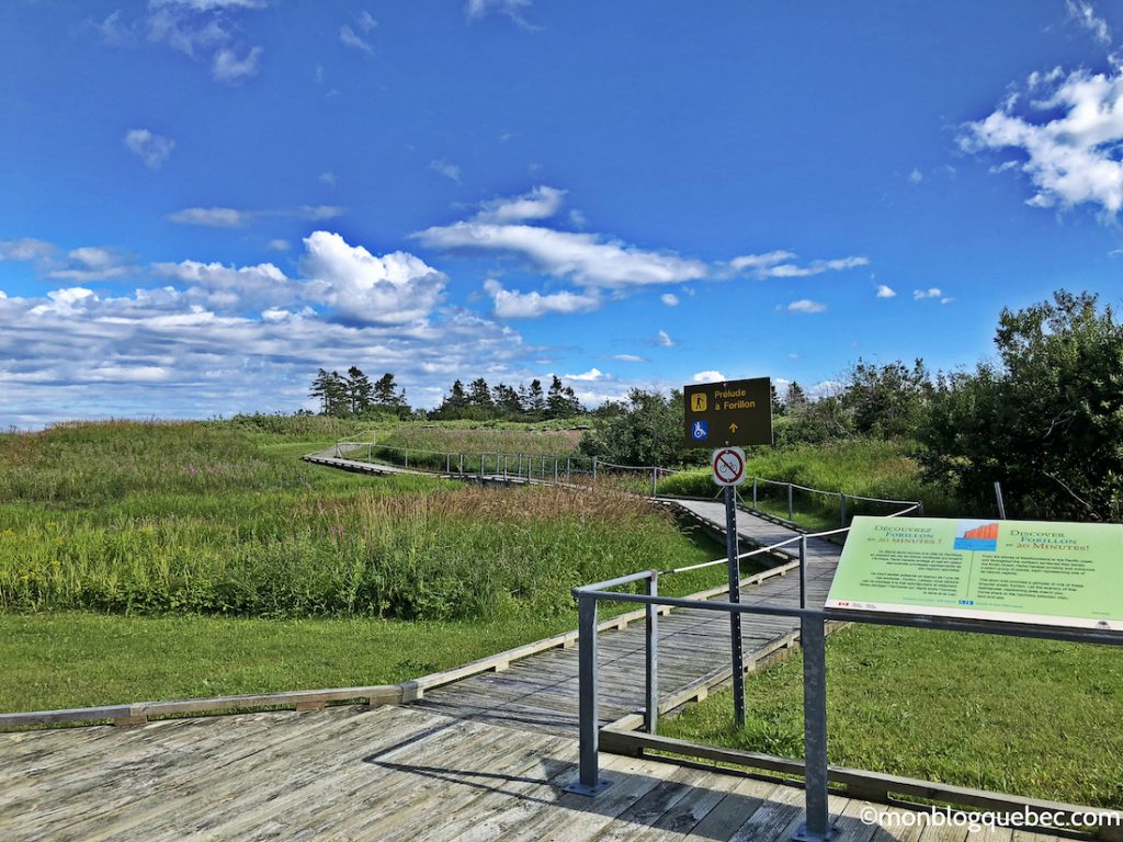 Découvrir Voyage en Gaspésie monblogquebec