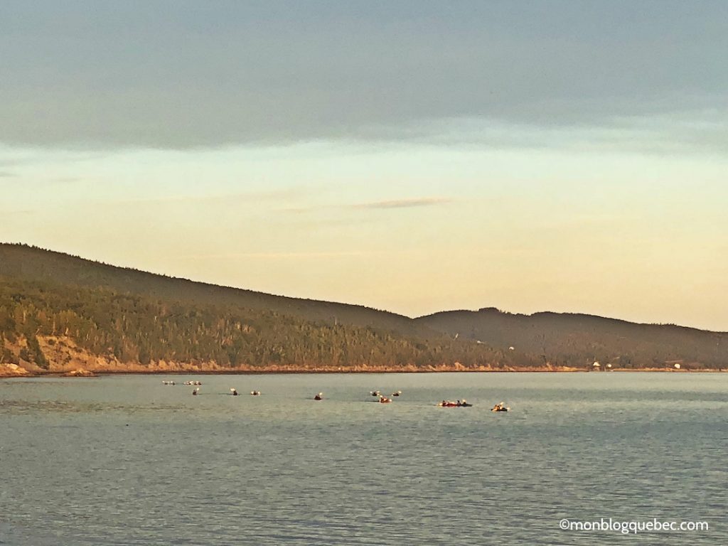 Découvrir Voyage en Gaspésie monblogquebec