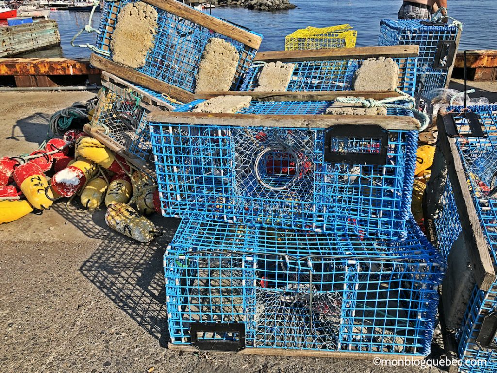 Découvrir Voyage en Gaspésie monblogquebec