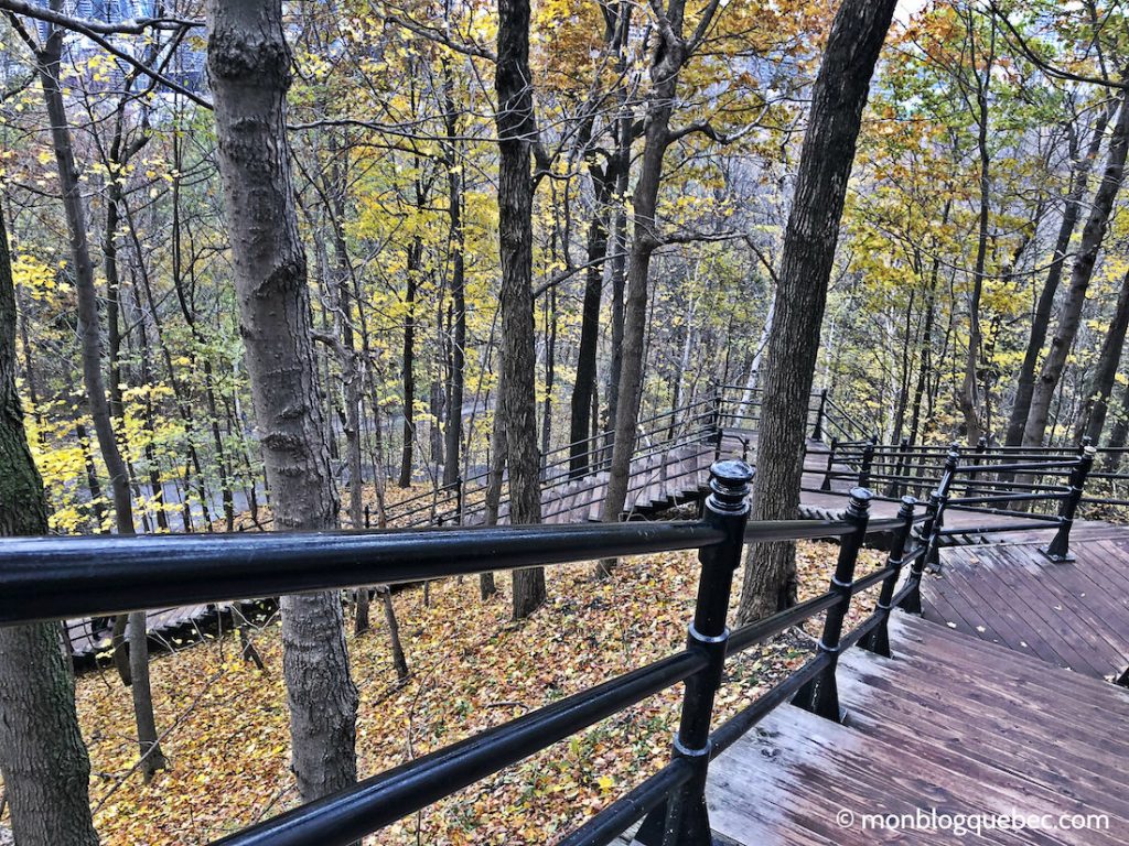 Vivre au Québec l'automne à Montréal monblogquebec