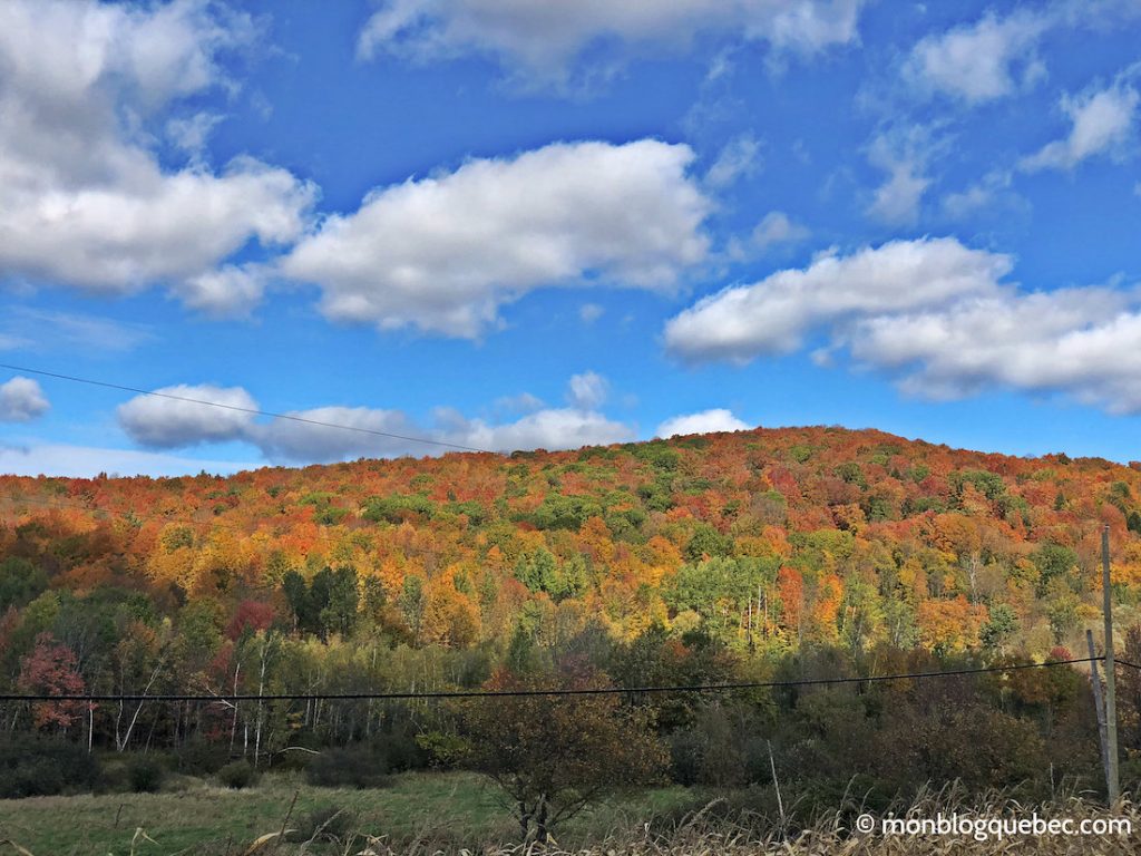 Vivre au Québec l'automne à Montréal monblogquebec
