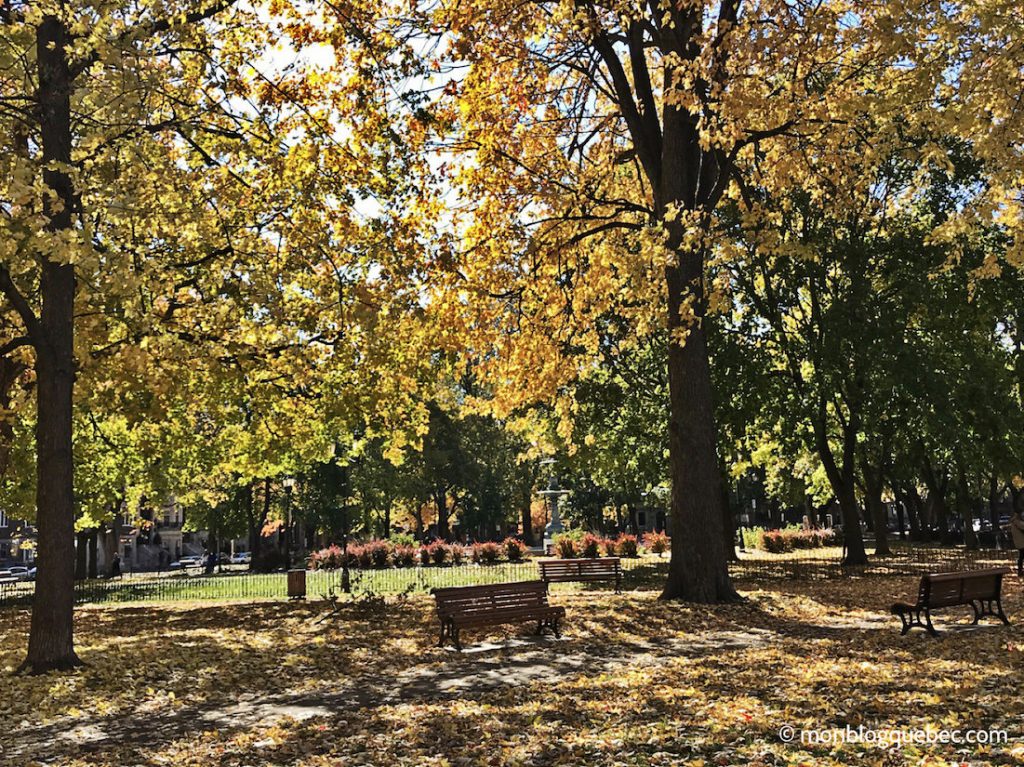 Vivre au Québec l'automne à Montréal monblogquebec