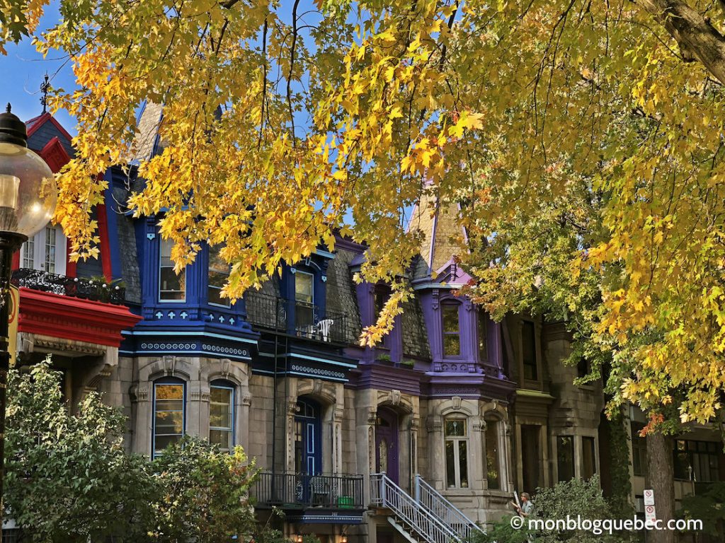 Immigrer au Québec bilan après 3 ans à Montréal