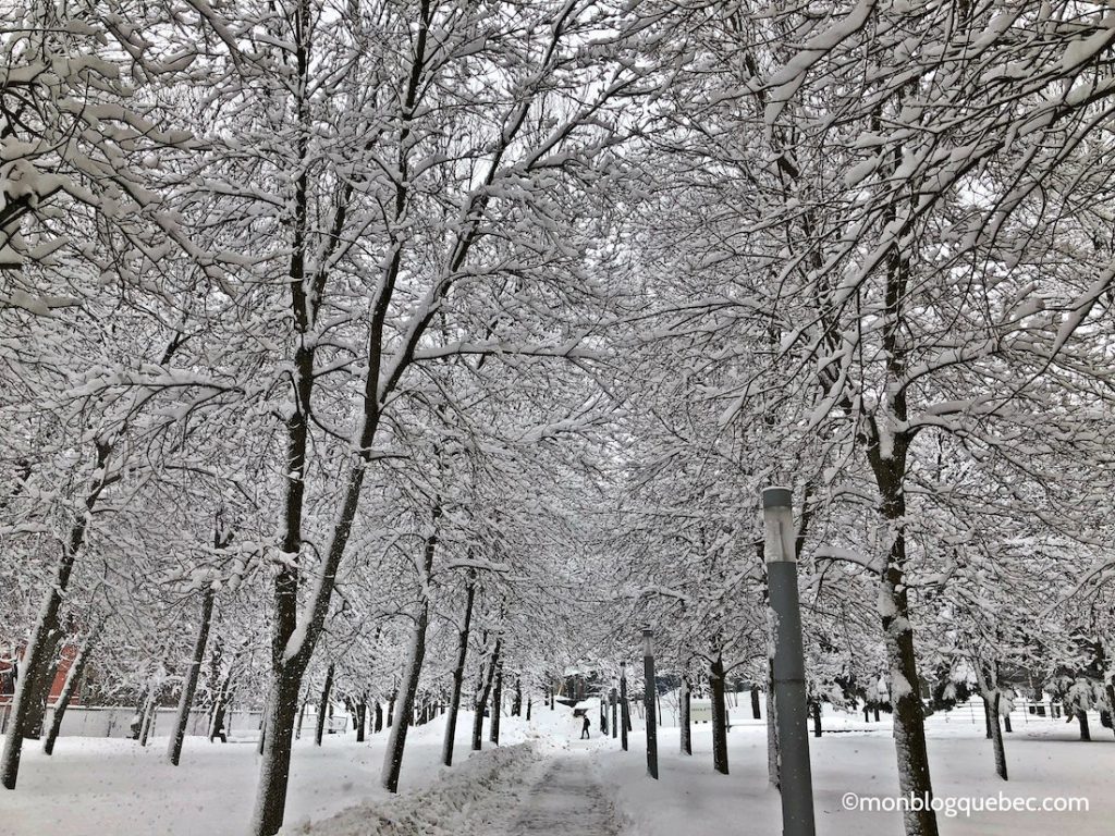 Bilan après 3 ans à Montréal les hivers