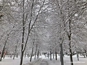 Bilan après 3 ans à Montréal les hivers