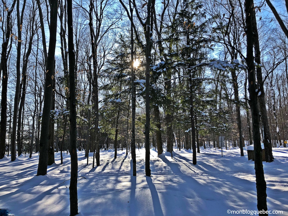 5 raisons de s'installer au Québec l'amour de la nature