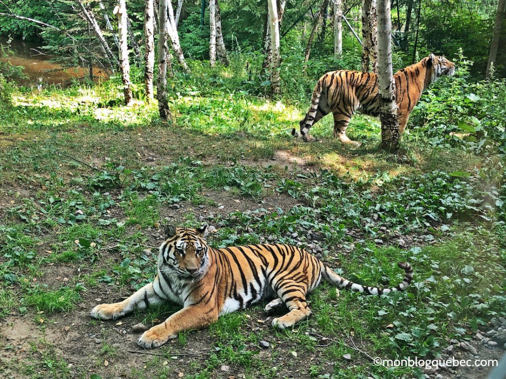 Découvrir Voyage au Saguenay Lac Saint-Jean Monblogquebec