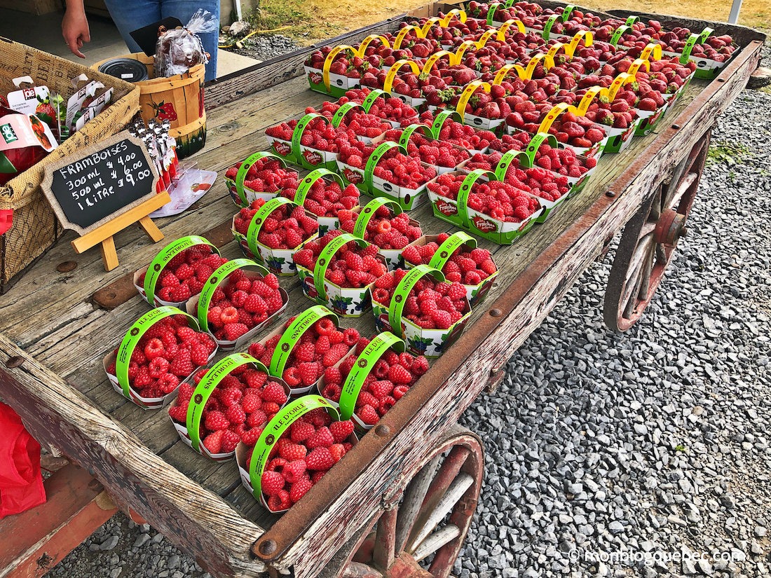 Ile d'Orléans Les fraises Ile d'Orléans Fraise
