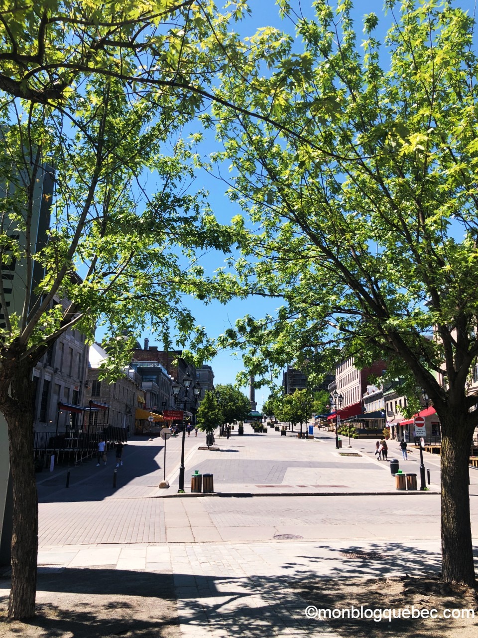 Covid-19 Montréal est désert