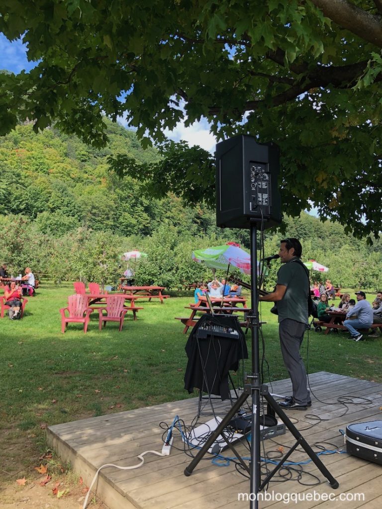 Top 10 des traditions au Québec Ceuillette des pommes